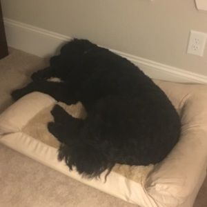 Meet your Posher, Melody